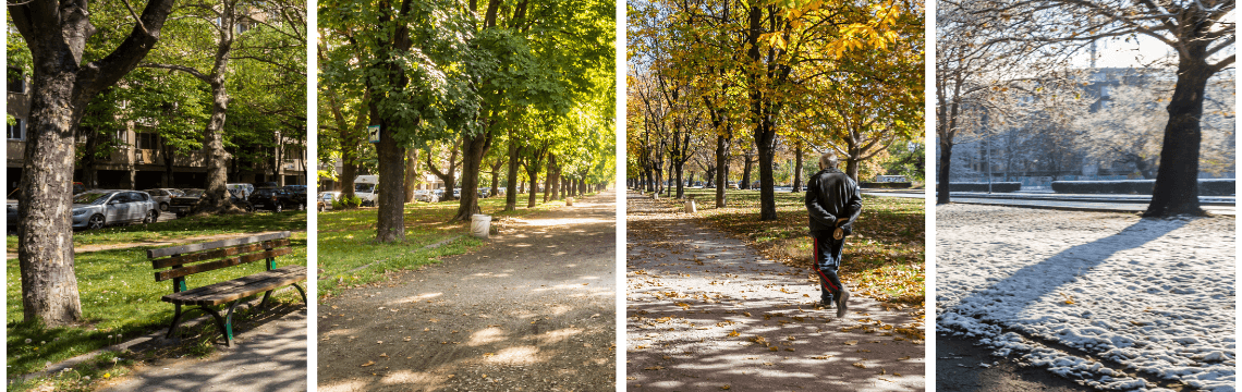 Seasonal sales taxes – Wacky Tax Wednesday