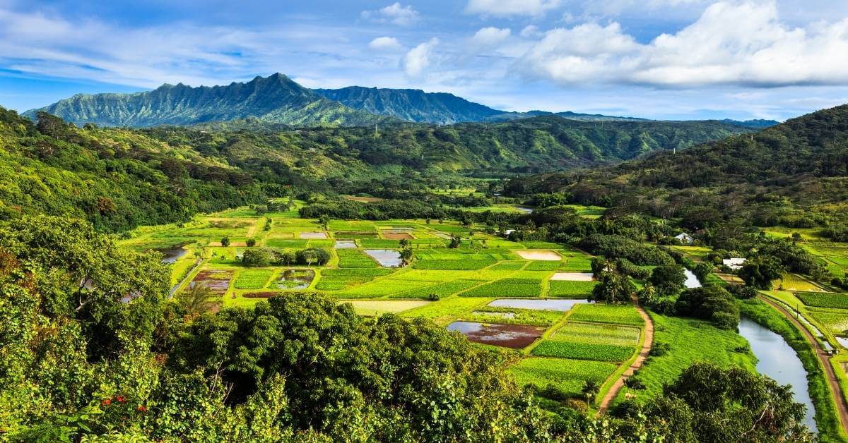 Hawaii Supreme Court rules against short-term rentals on agricultural land