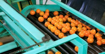 Florida property tax guide