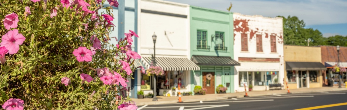 Flowering bush with colorful shops on a street in downtown Inman, South Carolina, in the background