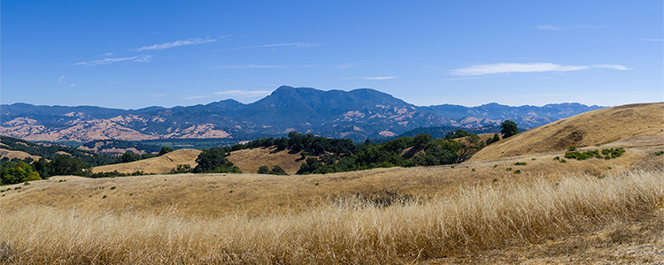 Santa Rosa, California