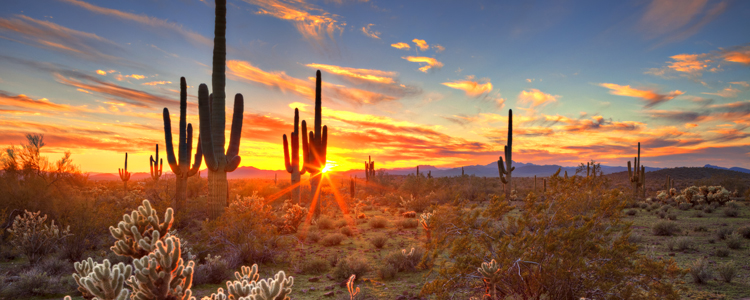 Arizona sunset