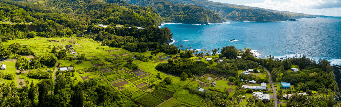 Hawaii County STR