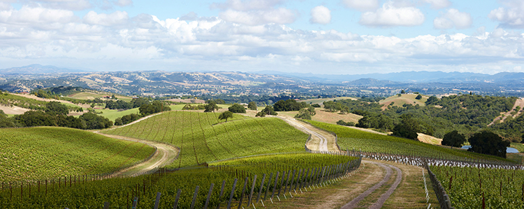 Paso Robles looking to regulate short-term vacation rentals